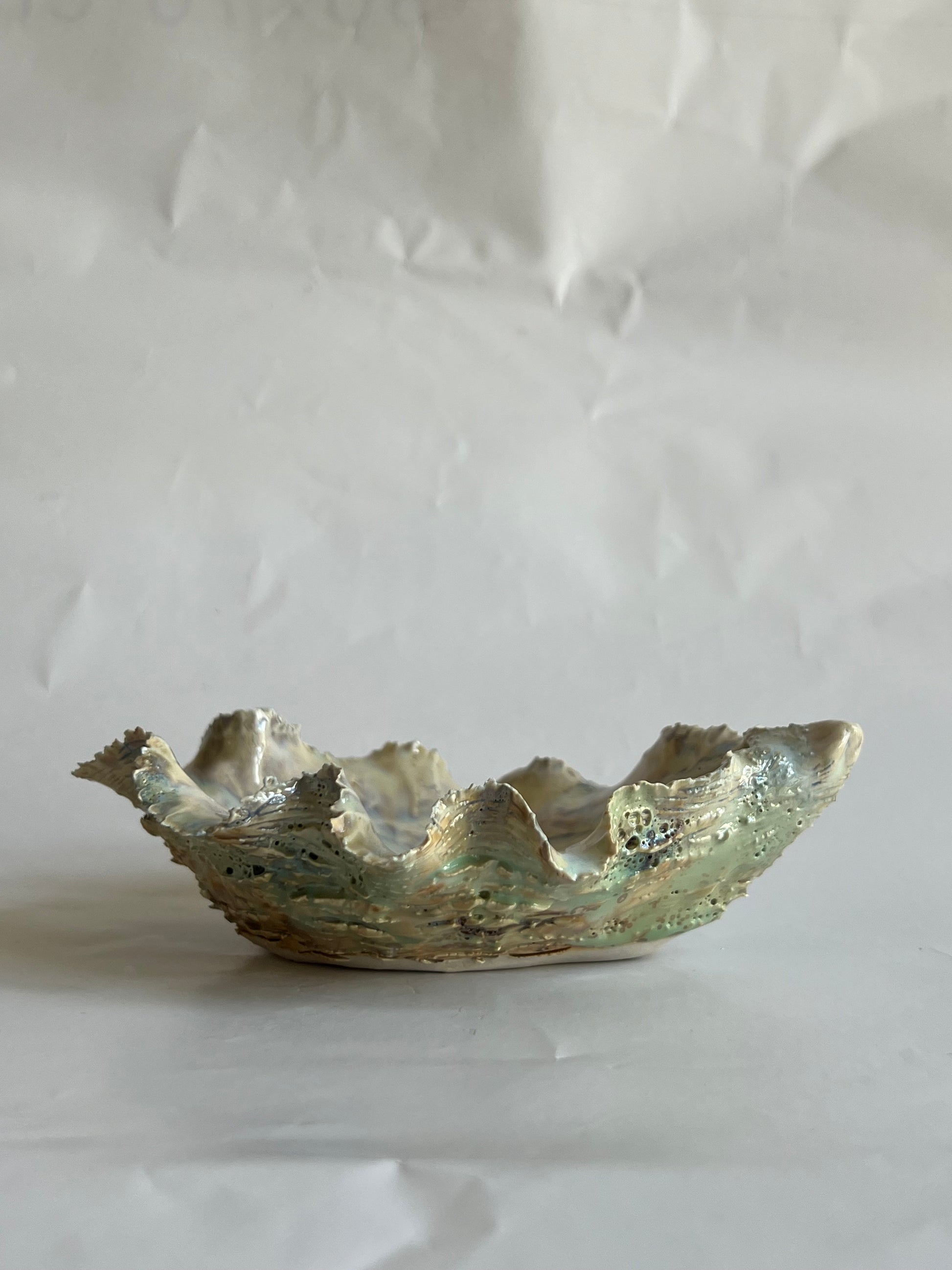 Green Oyster Shell