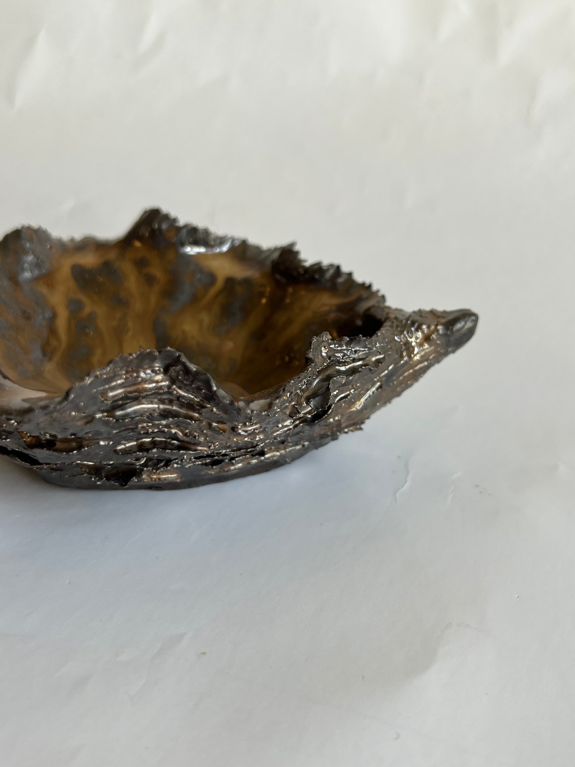 Black Oyster Shell