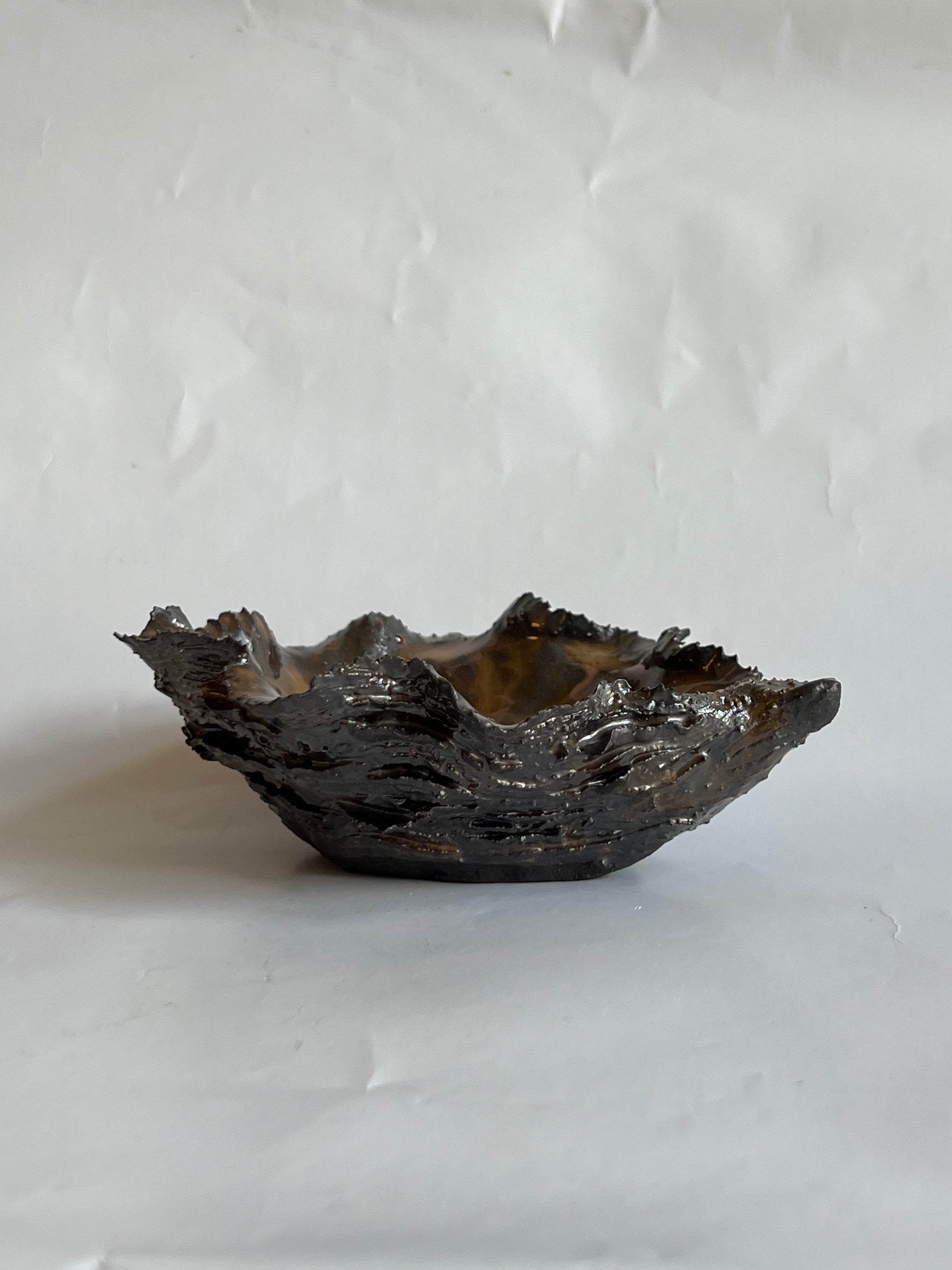 Black Oyster Shell