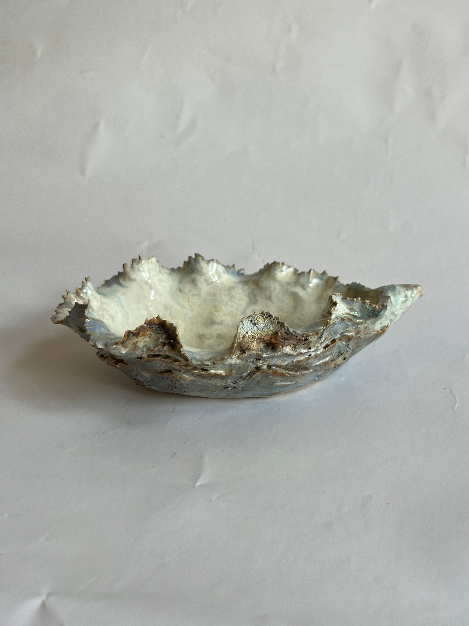 Oyster Shell Small