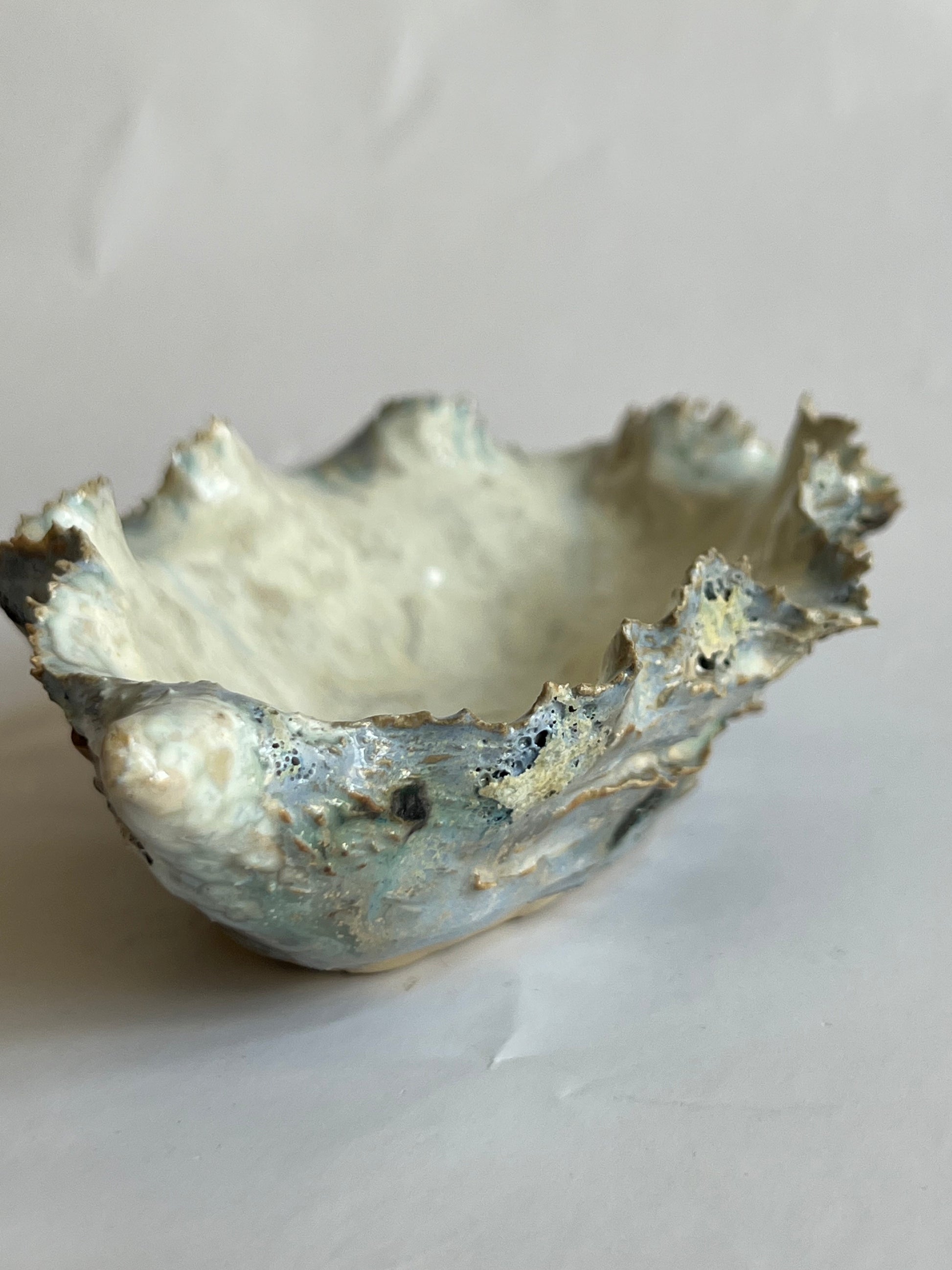Oyster Shell Small
