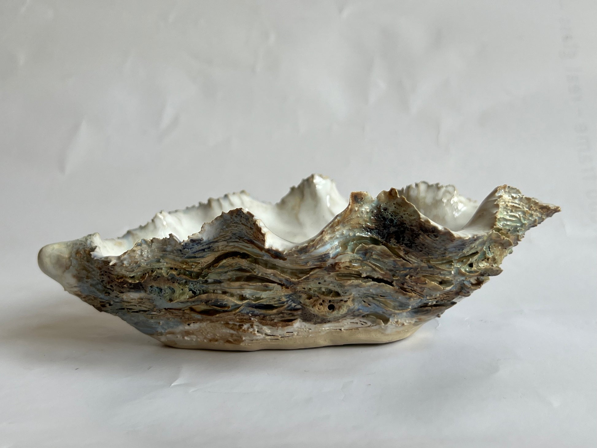 Oyster Shell Large