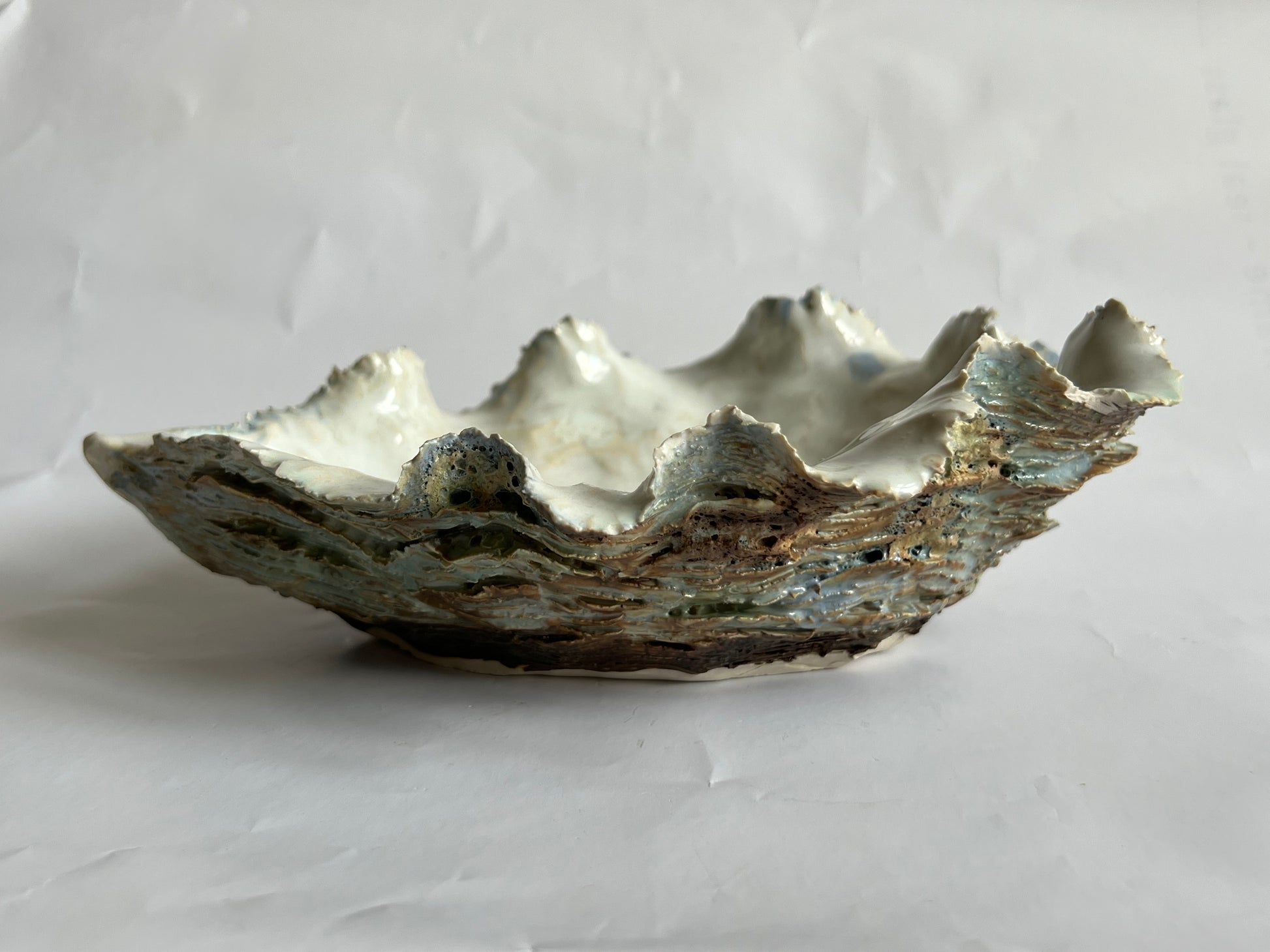 Oyster Shell Large