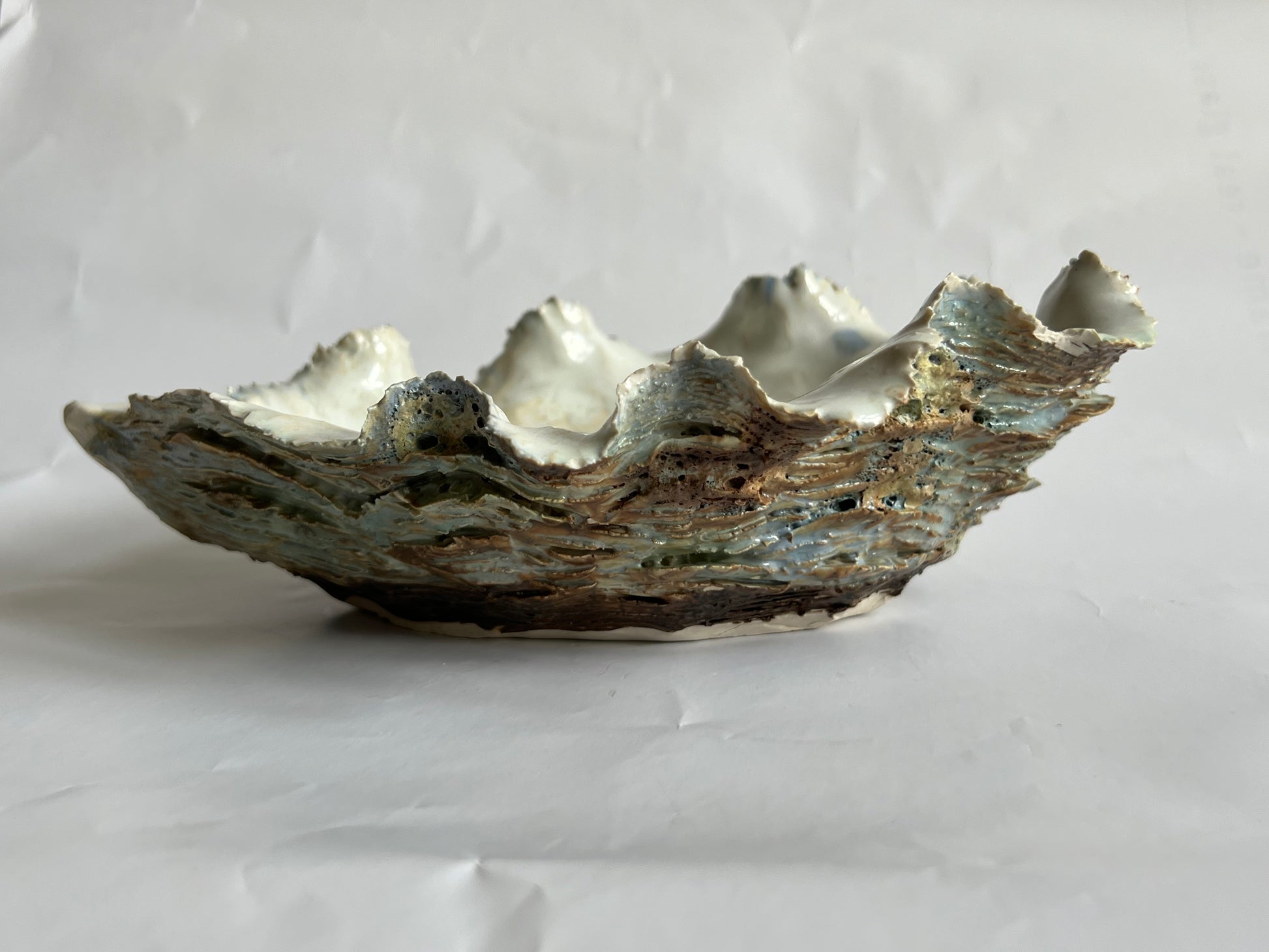 Oyster Shell Large