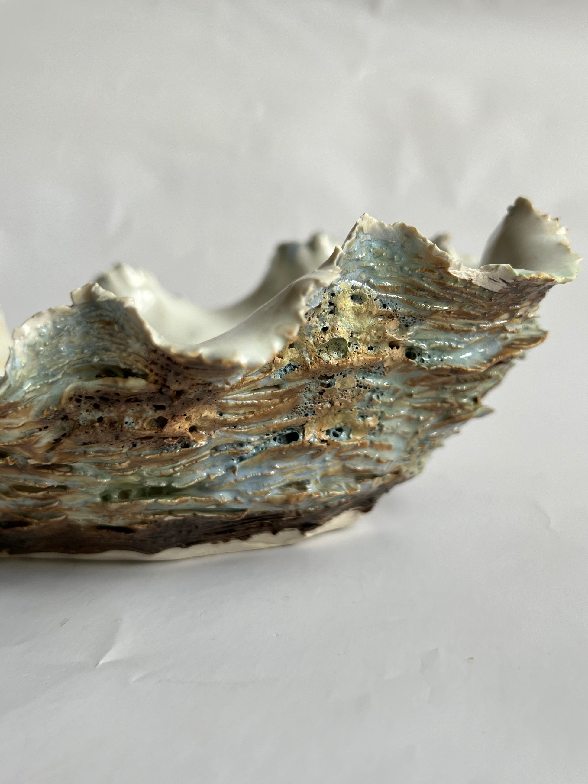 Oyster Shell Large