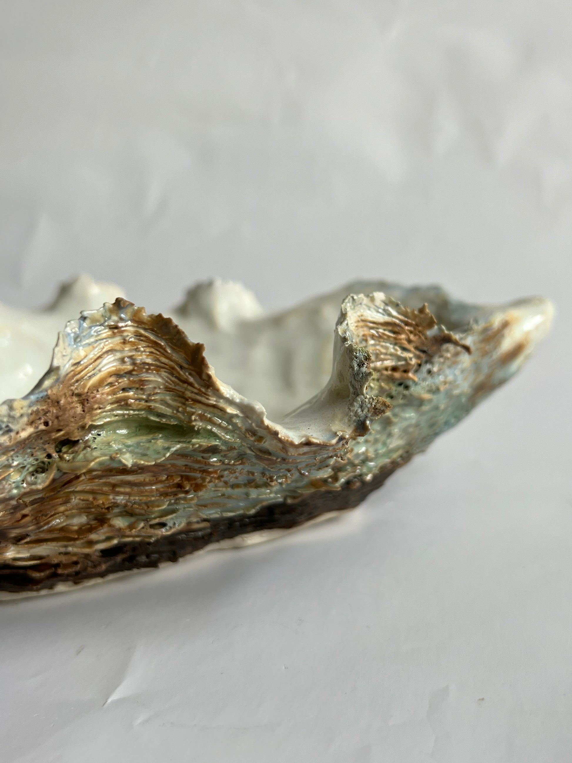 Oyster Shell Large