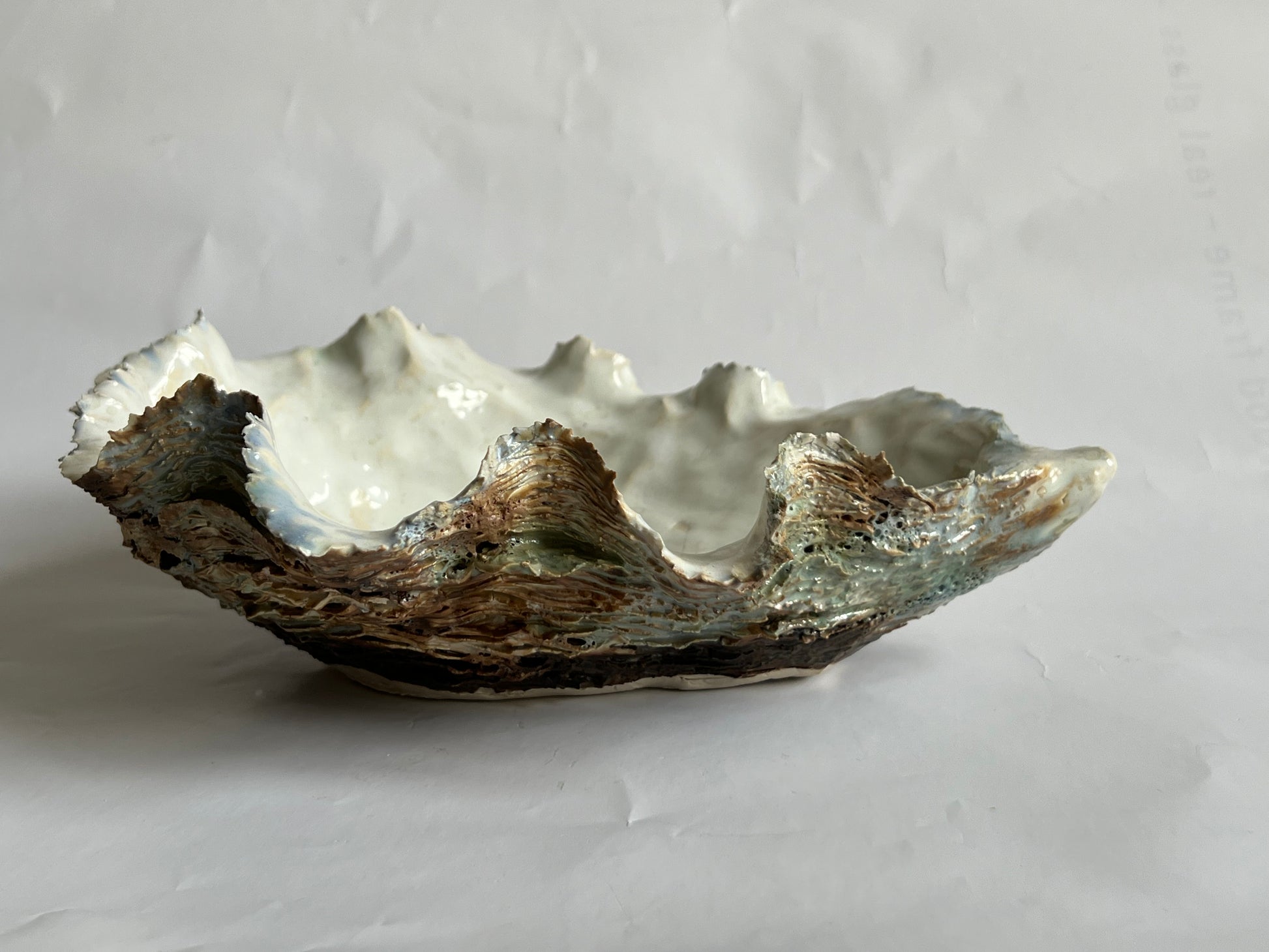 Oyster Shell Large