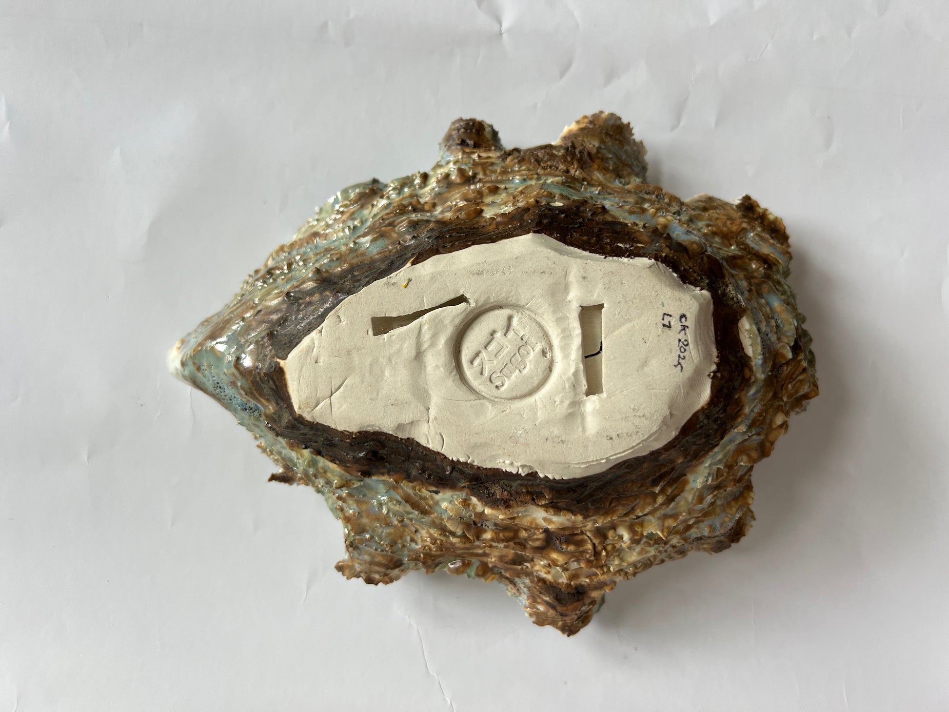 Oyster Shell Large