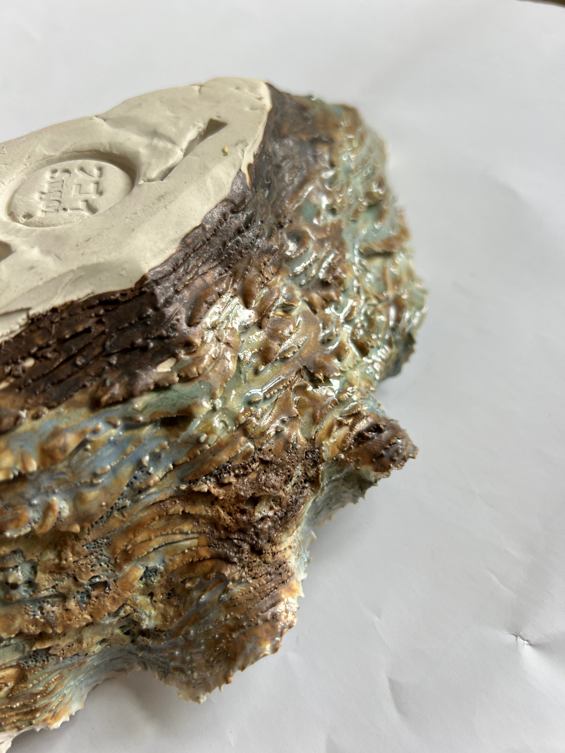 Oyster Shell Large