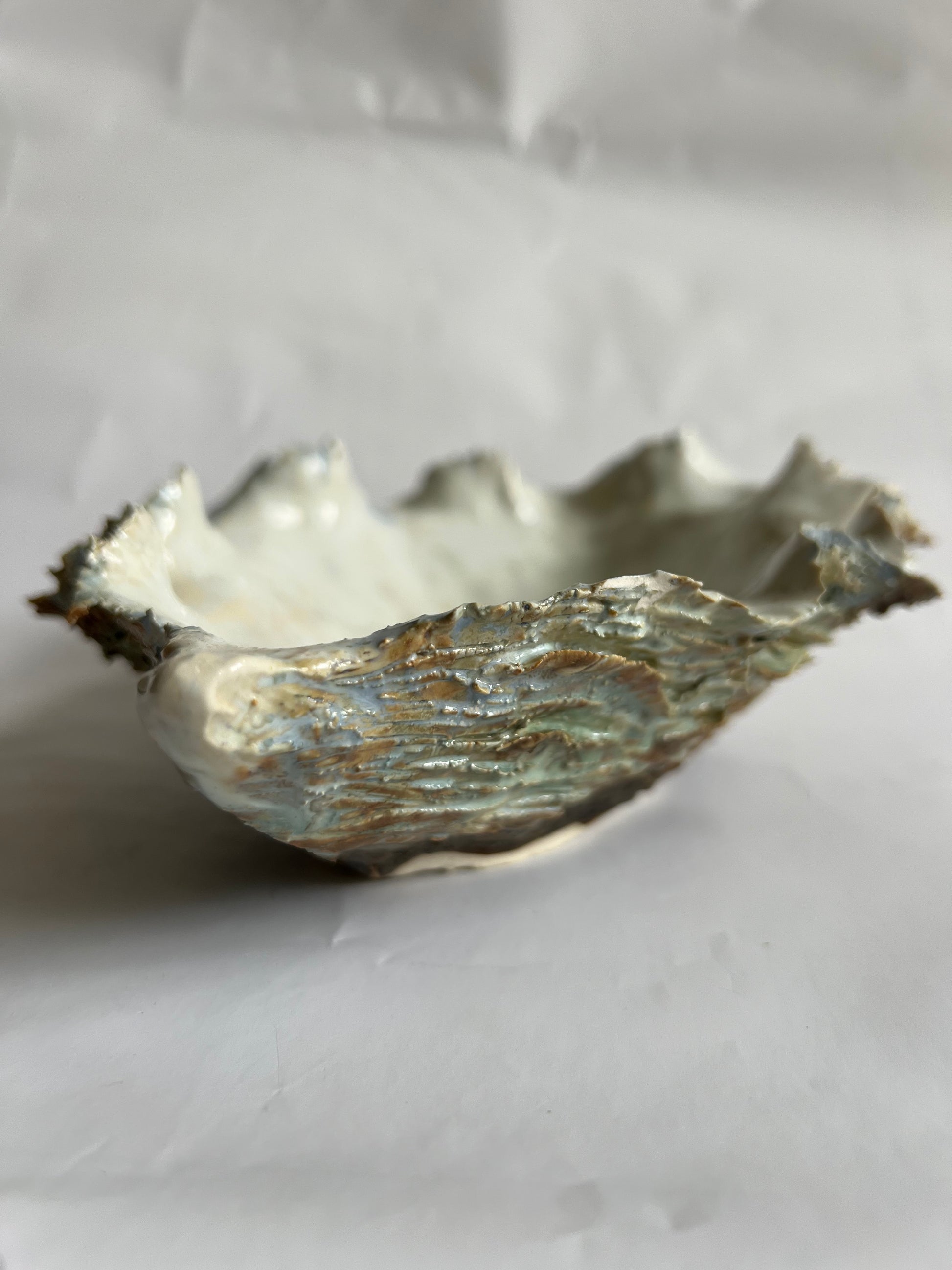 Oyster Shell Large