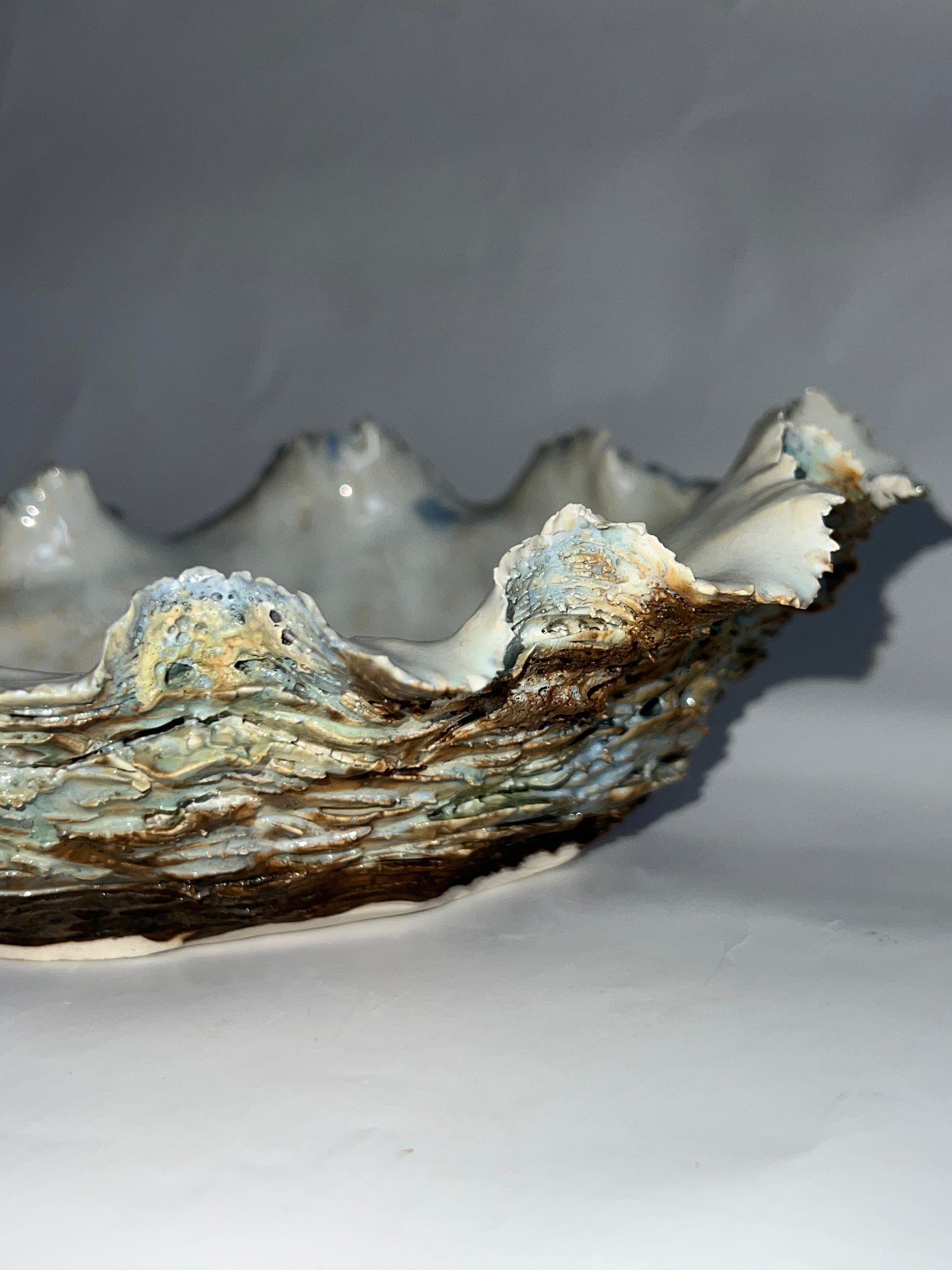 Oyster Shell Large