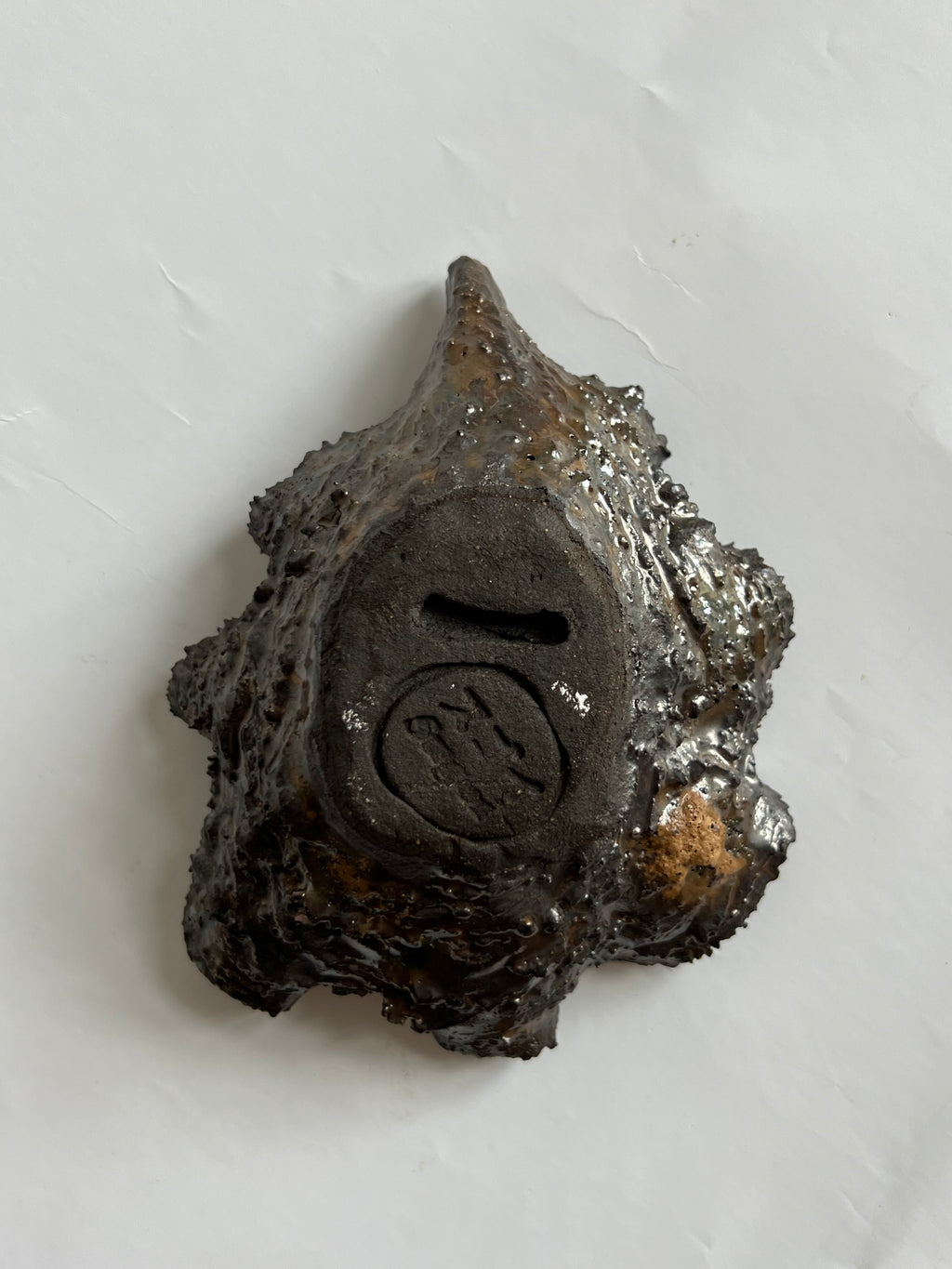Black Oyster Shell