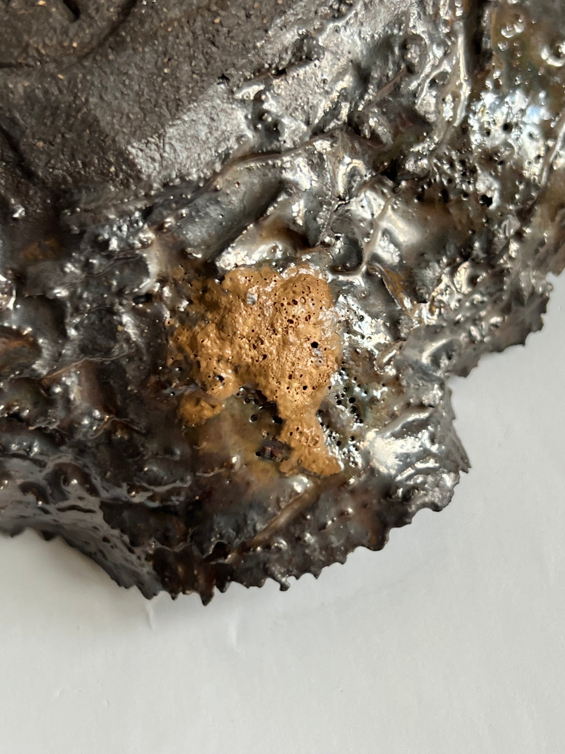 Black Oyster Shell