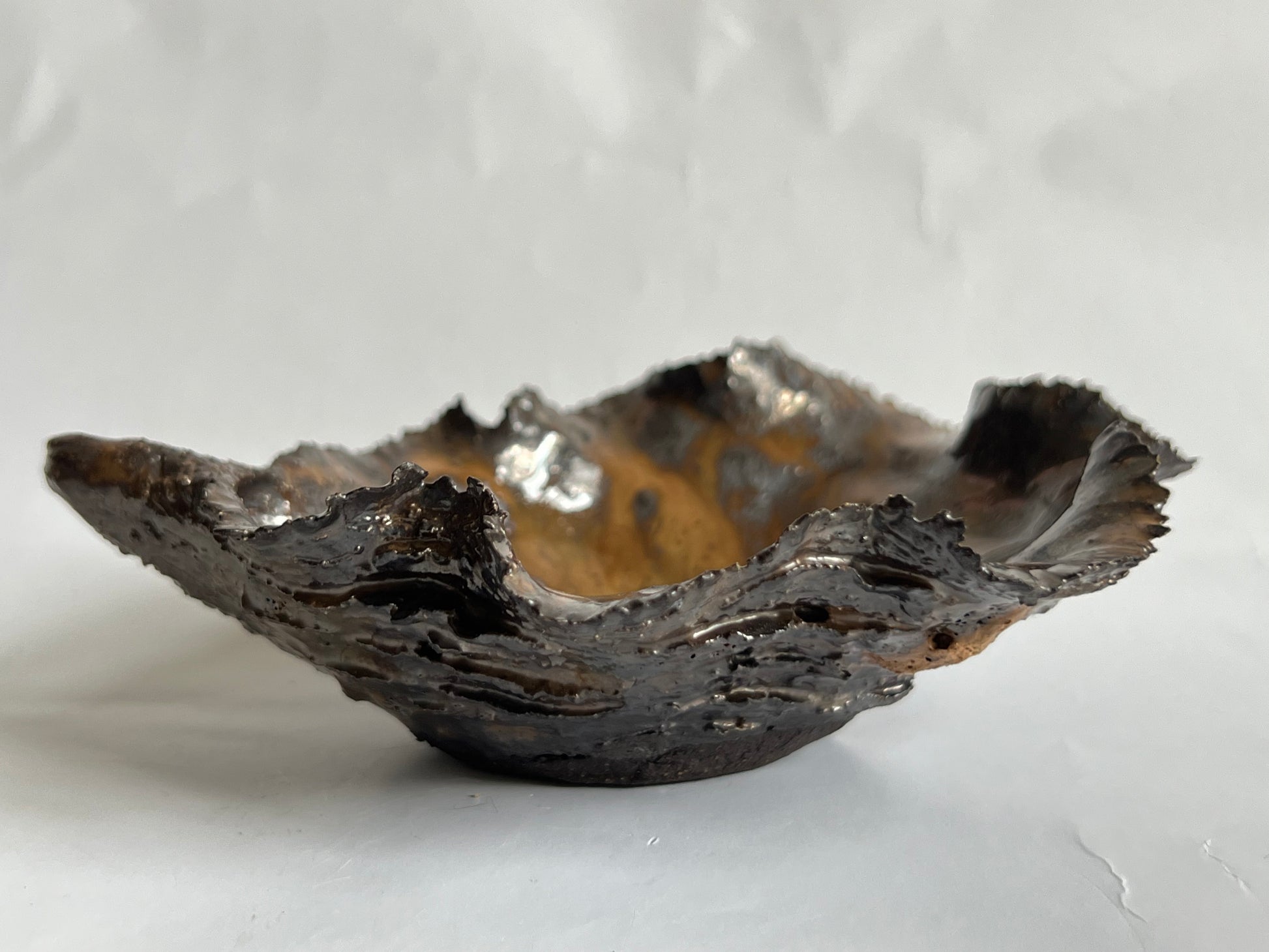 Black Oyster Shell