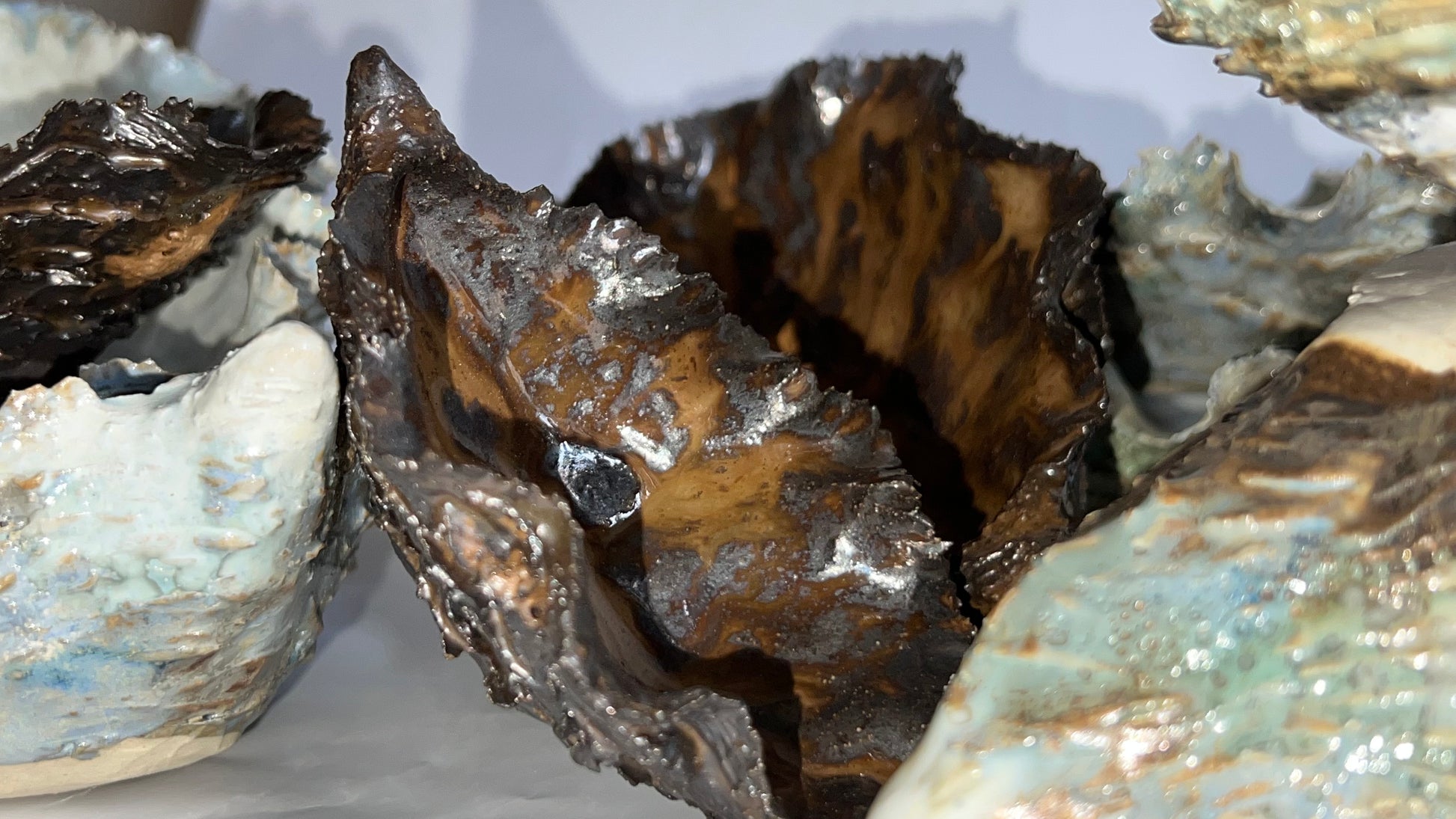 Black Oyster Shell