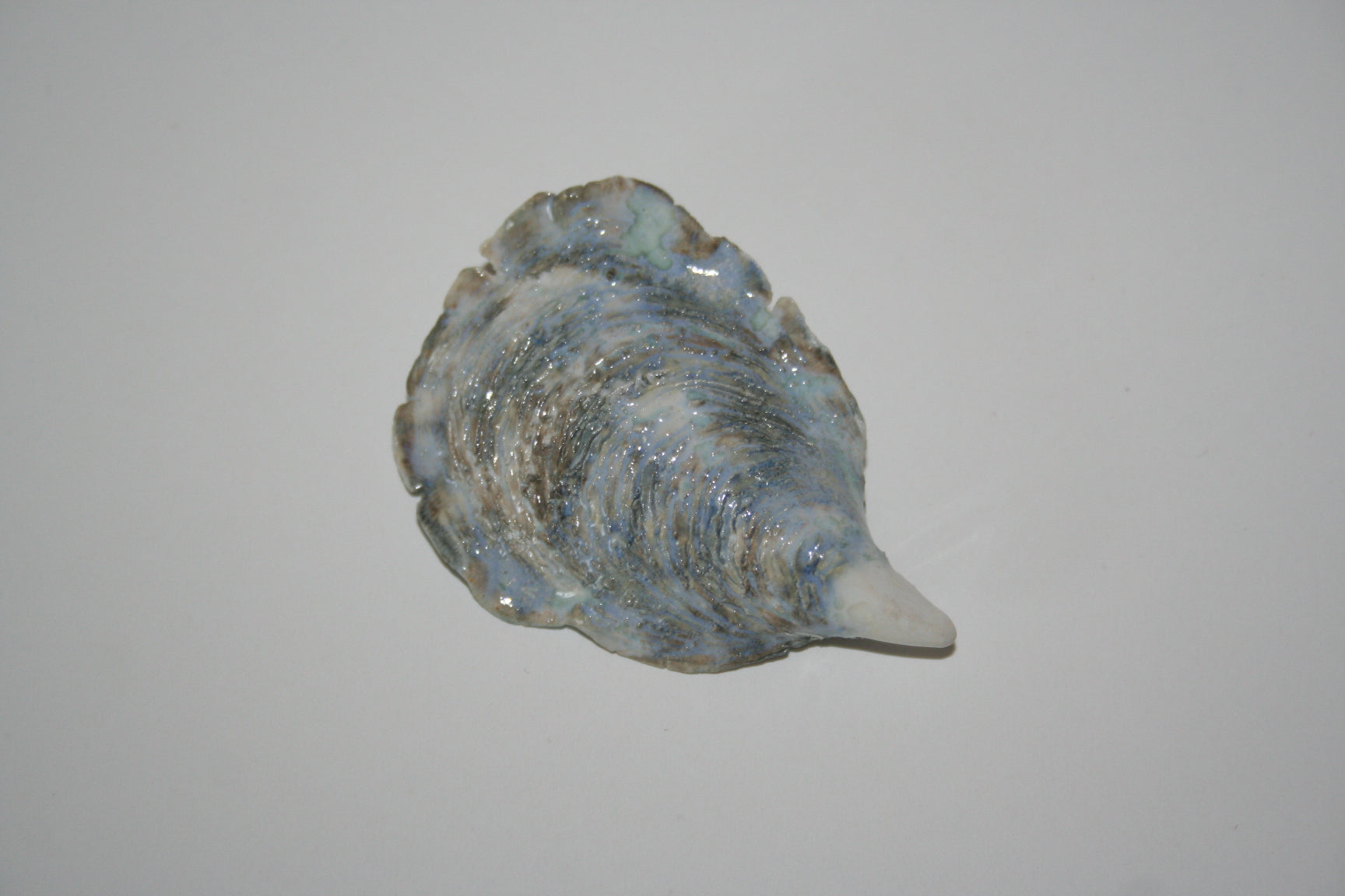Oyster Brooch - Shell Pin
