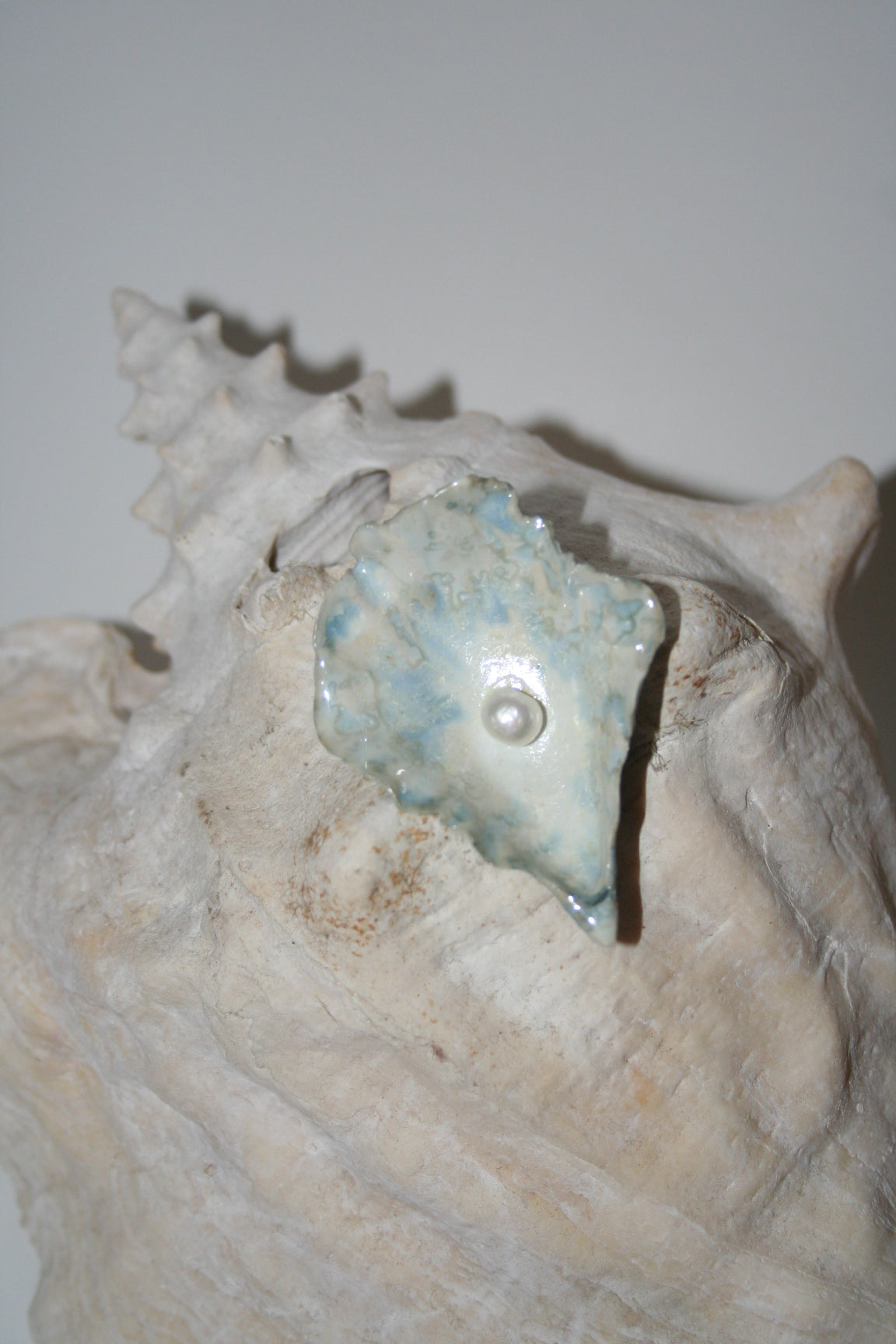 Oyster Brooch - Pearl Clip