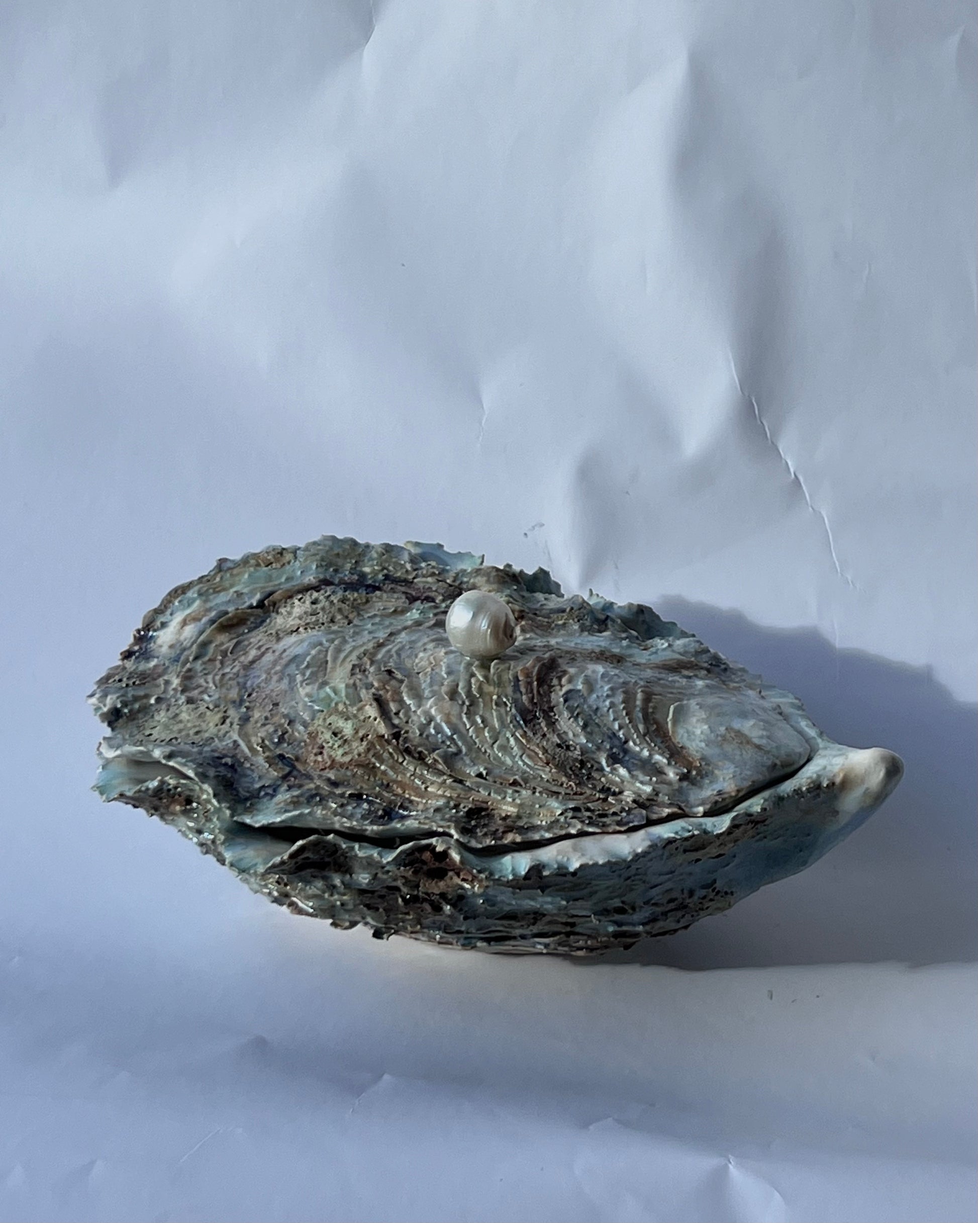 Oyster Chest