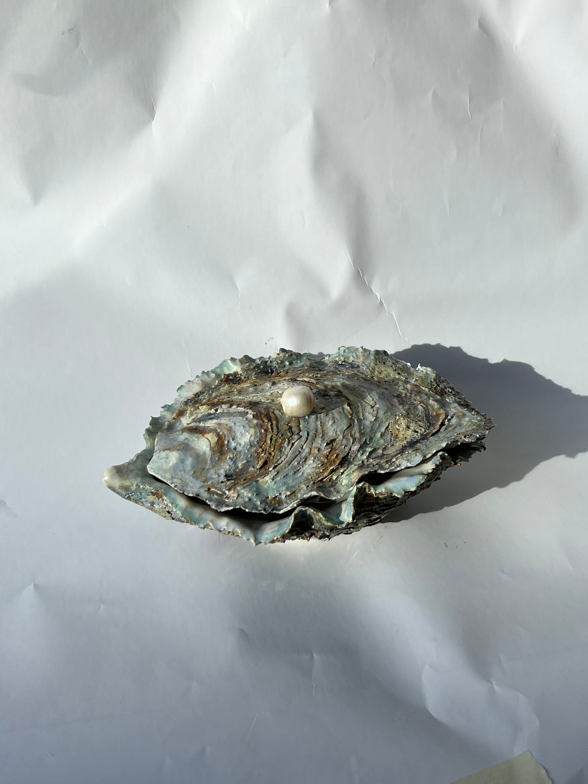 Oyster Chest