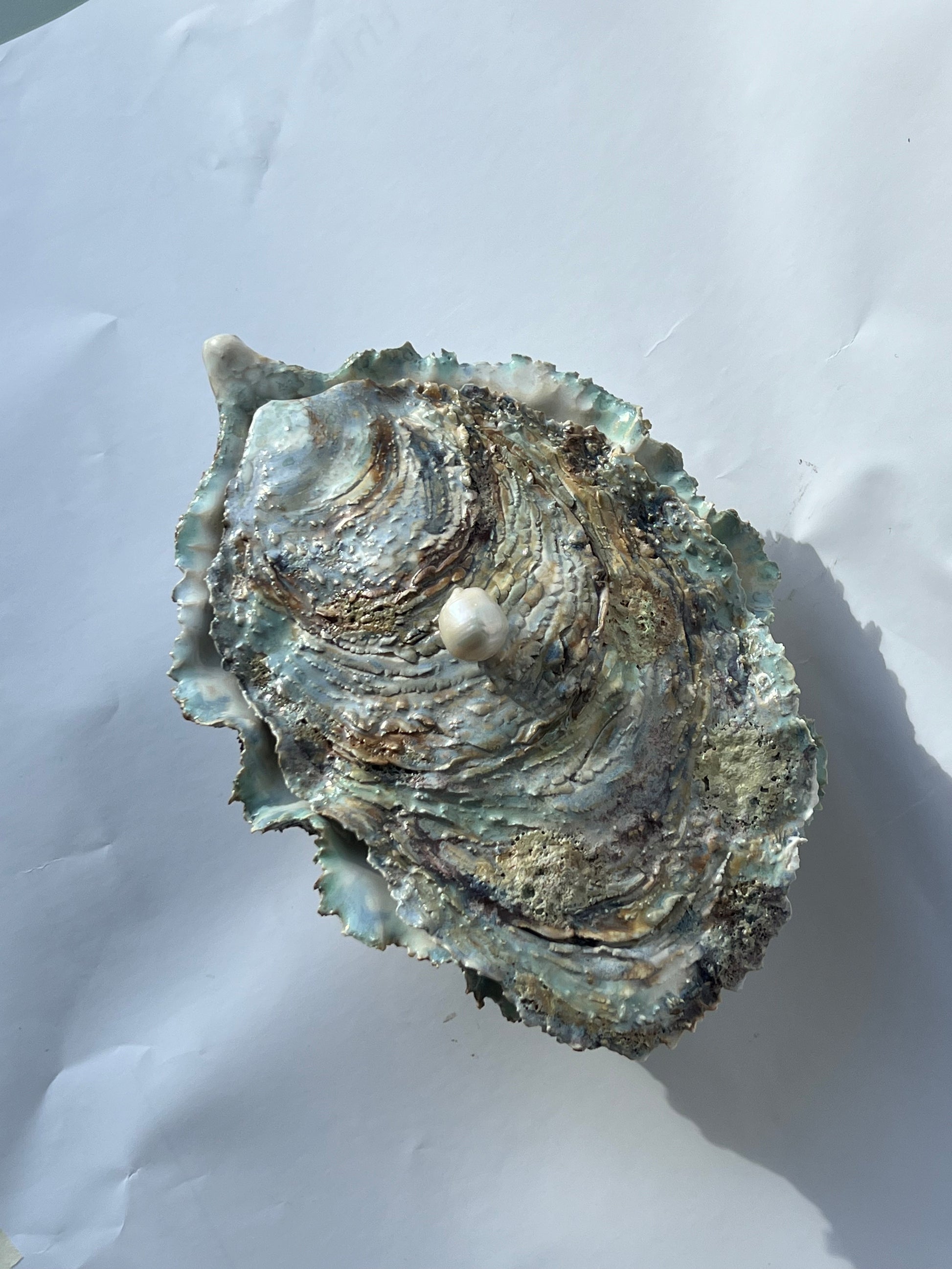 Oyster Chest