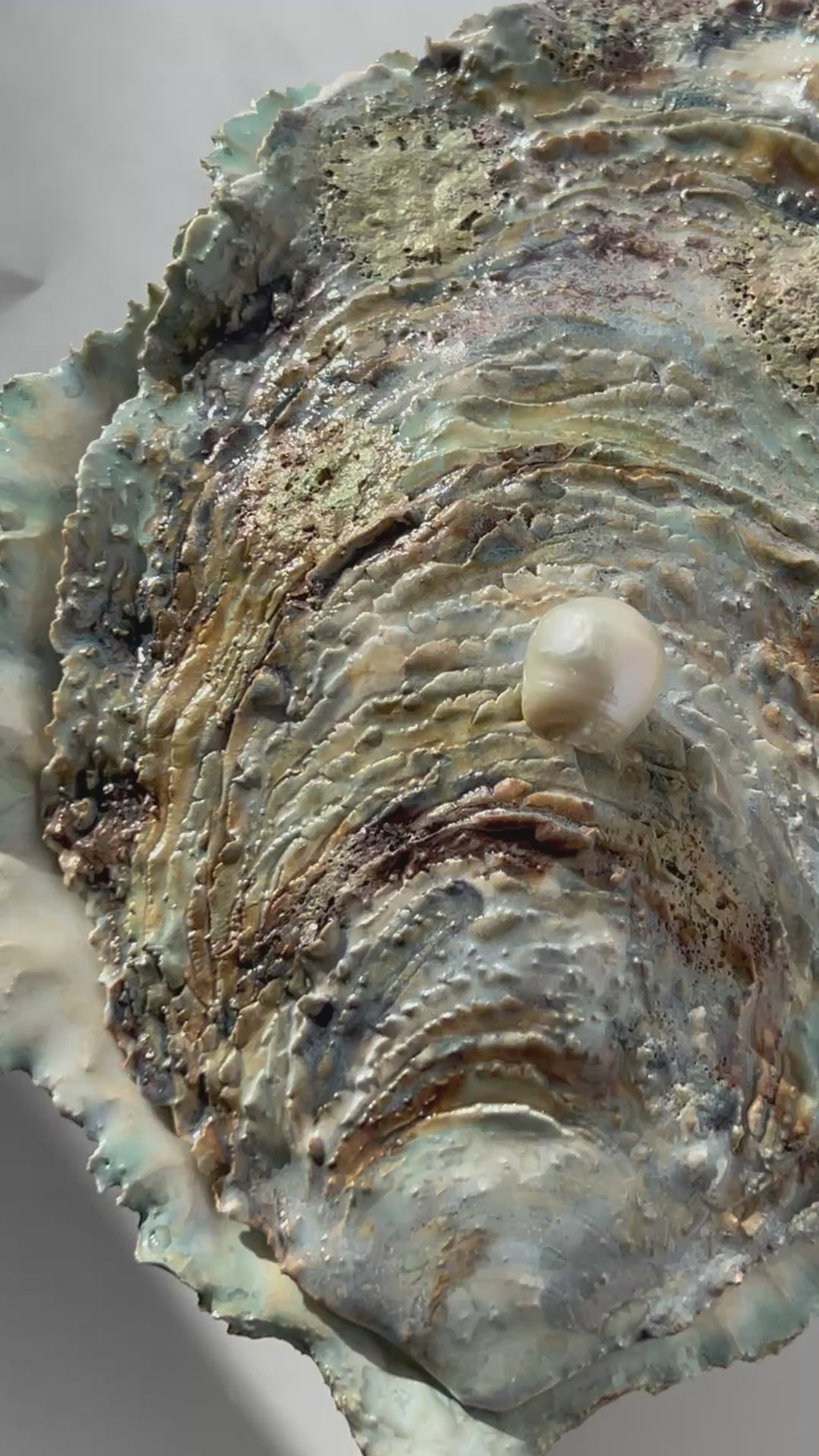 Oyster Chest