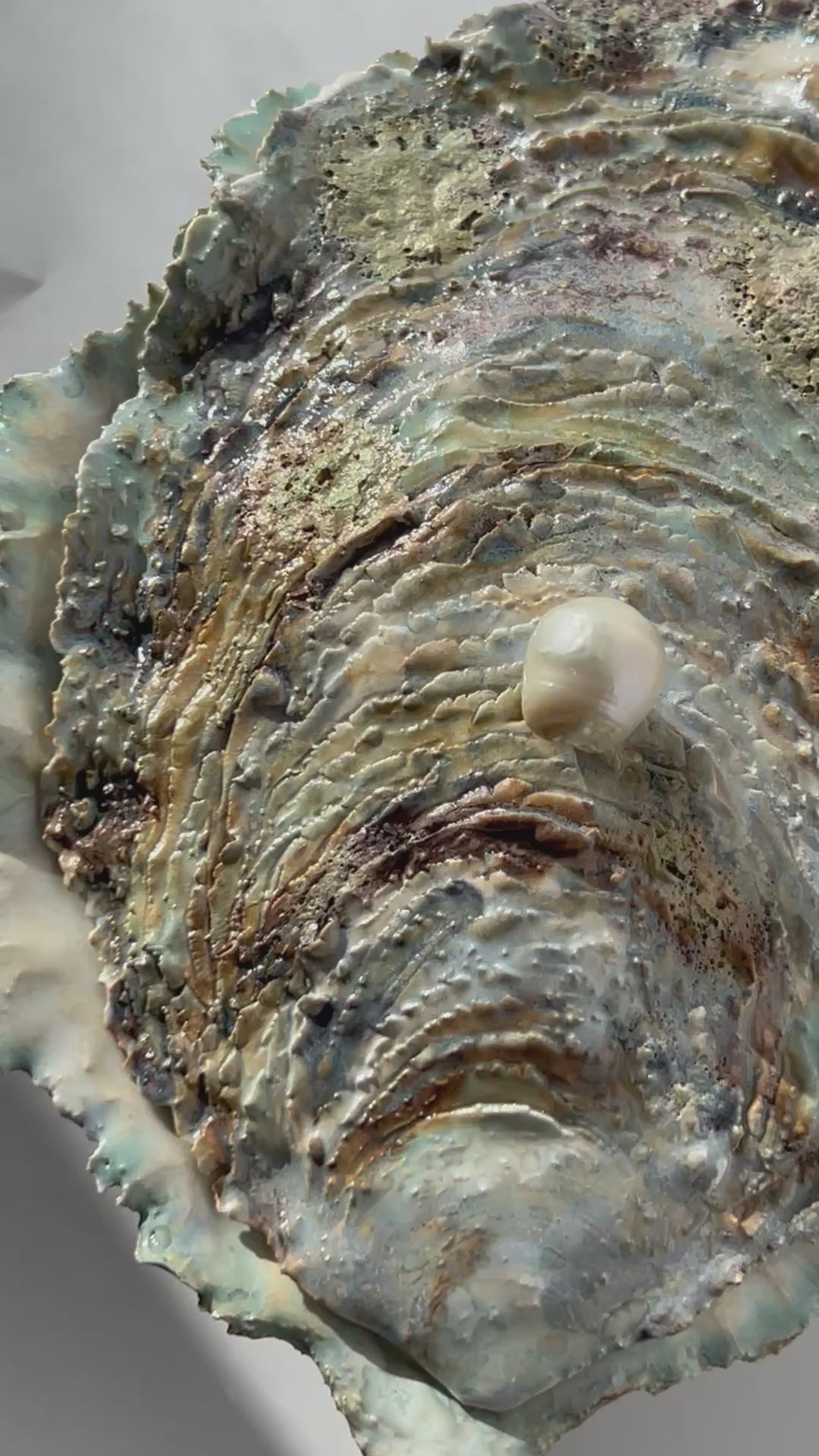 Oyster Chest